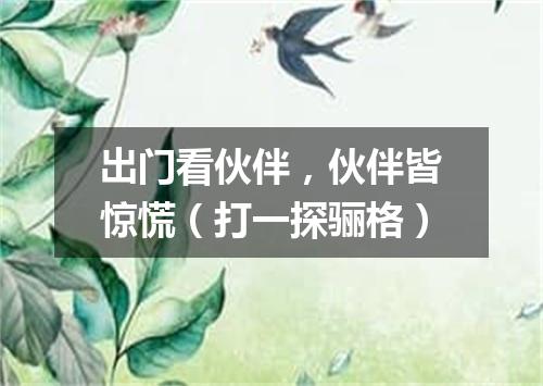 出门看伙伴，伙伴皆惊慌（打一探骊格）