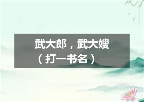 武大郎，武大嫂（打一书名）