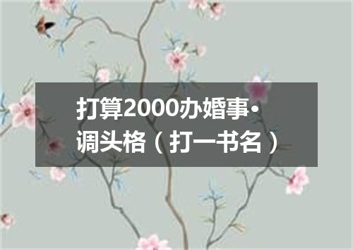 打算2000办婚事·调头格（打一书名）