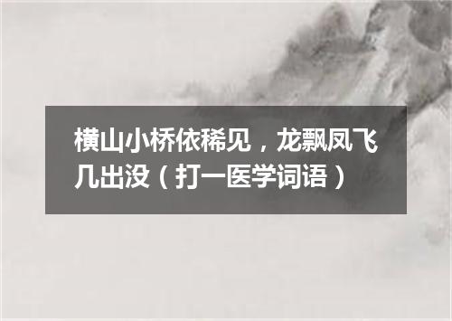 横山小桥依稀见，龙飘凤飞几出没（打一医学词语）