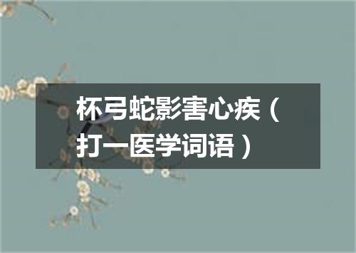 杯弓蛇影害心疾（打一医学词语）