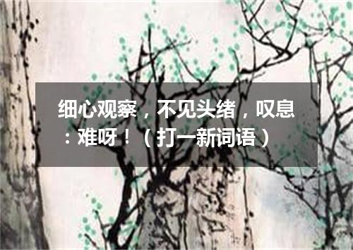 细心观察，不见头绪，叹息：难呀！（打一新词语）