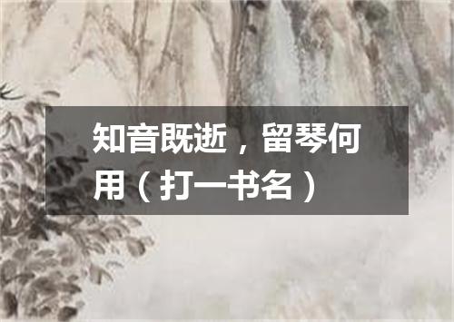 知音既逝，留琴何用（打一书名）