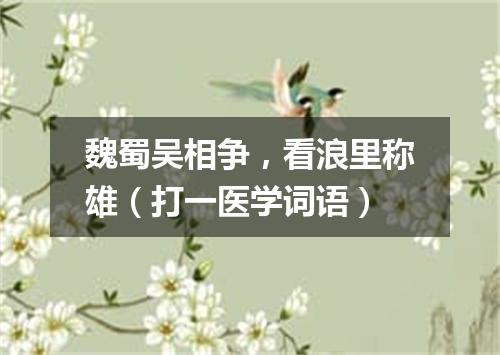 魏蜀吴相争，看浪里称雄（打一医学词语）