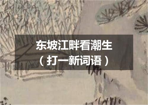 东坡江畔看潮生（打一新词语）