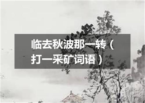 临去秋波那一转（打一采矿词语）