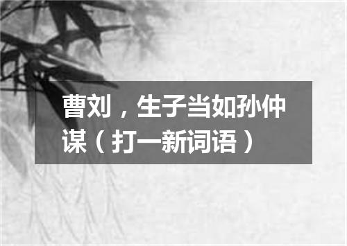 曹刘，生子当如孙仲谋（打一新词语）
