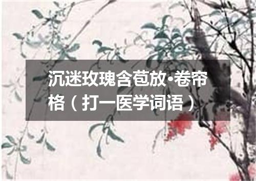 沉迷玫瑰含苞放·卷帘格（打一医学词语）