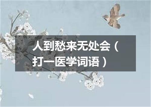 人到愁来无处会（打一医学词语）