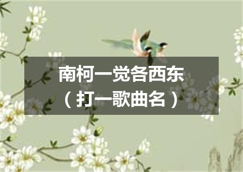 南柯一觉各西东（打一歌曲名）