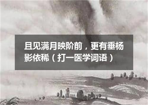 且见满月映阶前，更有垂杨影依稀（打一医学词语）