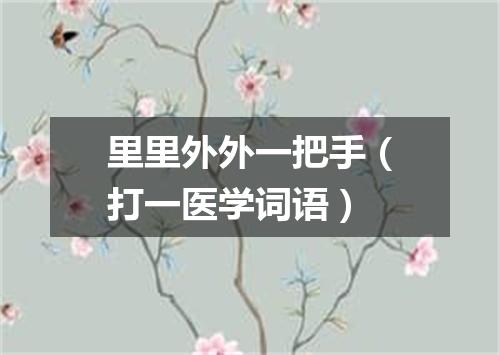 里里外外一把手（打一医学词语）