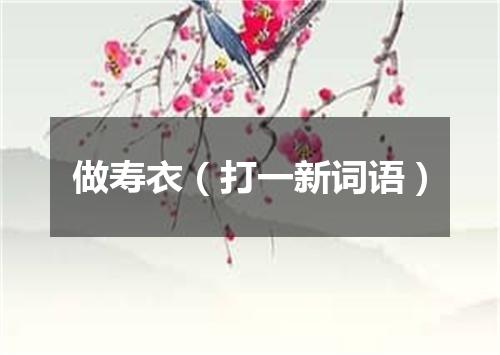 做寿衣（打一新词语）