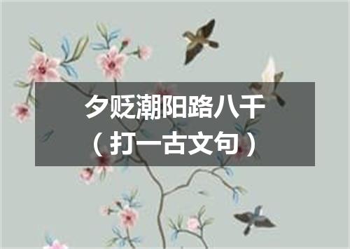 夕贬潮阳路八千（打一古文句）