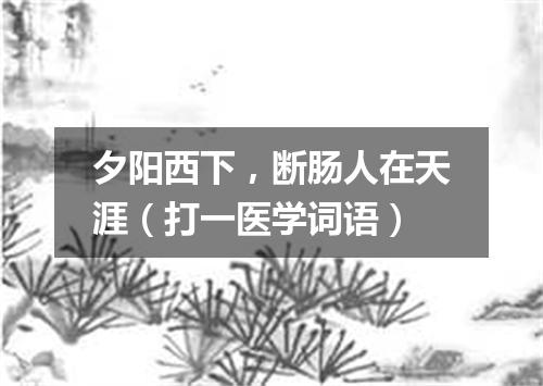 夕阳西下，断肠人在天涯（打一医学词语）
