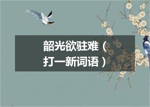 韶光欲驻难（打一新词语）