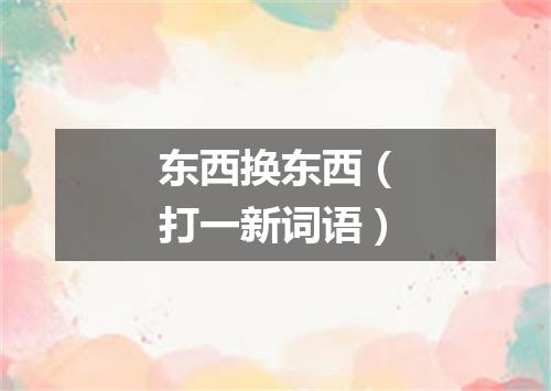 东西换东西（打一新词语）