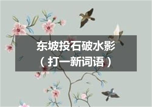 东坡投石破水影（打一新词语）