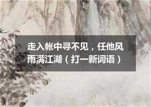 走入帐中寻不见，任他风雨满江湖（打一新词语）