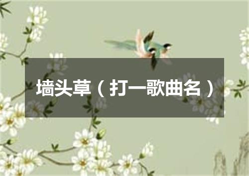 墙头草（打一歌曲名）