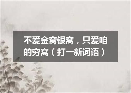 不爱金窝银窝，只爱咱的穷窝（打一新词语）