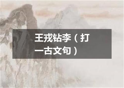王戎钻李（打一古文句）