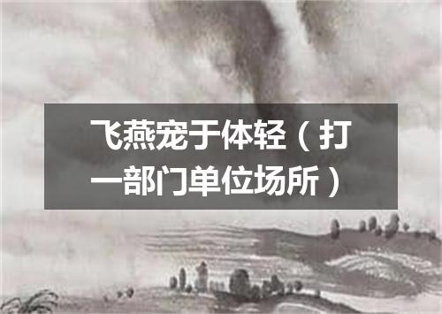 飞燕宠于体轻（打一部门单位场所）