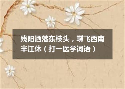 残阳洒落东枝头，蝶飞西南半江休（打一医学词语）