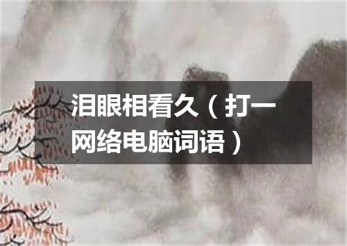 泪眼相看久（打一网络电脑词语）
