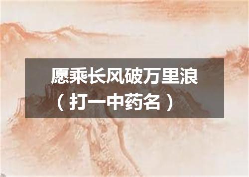 愿乘长风破万里浪（打一中药名）