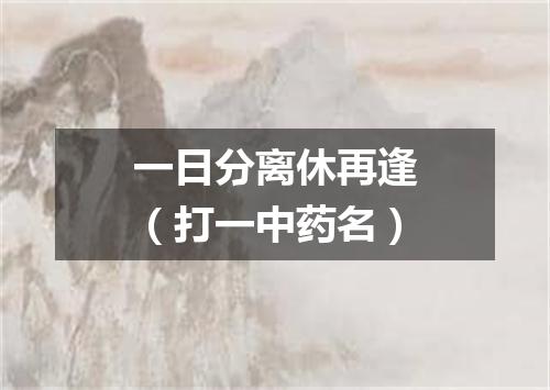 一日分离休再逢（打一中药名）