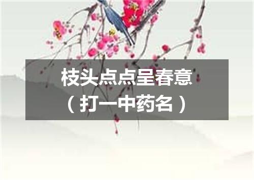 枝头点点呈春意（打一中药名）