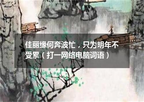 佳丽缘何奔波忙，只为明年不受累（打一网络电脑词语）