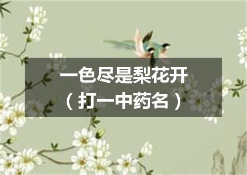 一色尽是梨花开（打一中药名）