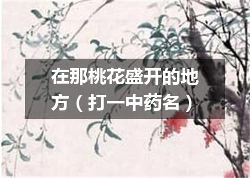 在那桃花盛开的地方（打一中药名）