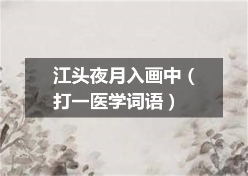 江头夜月入画中（打一医学词语）