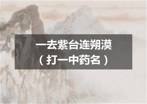 一去紫台连朔漠（打一中药名）