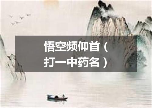 悟空频仰首（打一中药名）