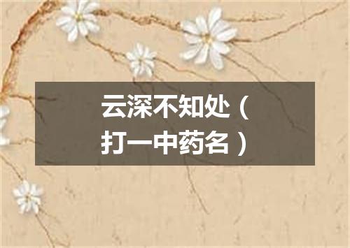 云深不知处（打一中药名）