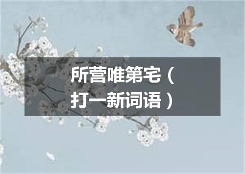 所营唯第宅（打一新词语）
