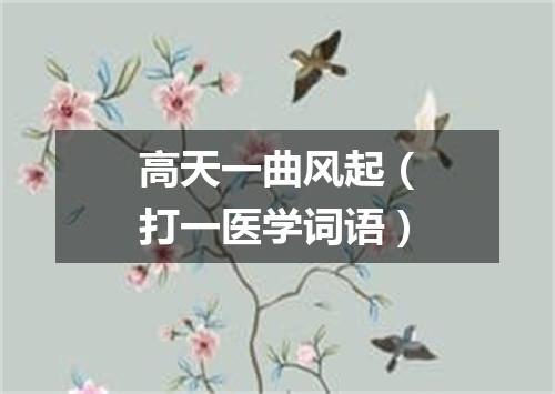 高天一曲风起（打一医学词语）