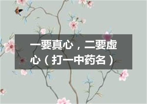 一要真心，二要虚心（打一中药名）