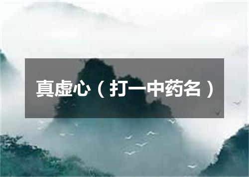 真虚心（打一中药名）