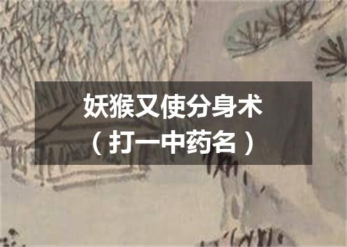 妖猴又使分身术（打一中药名）