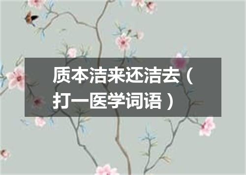 质本洁来还洁去（打一医学词语）
