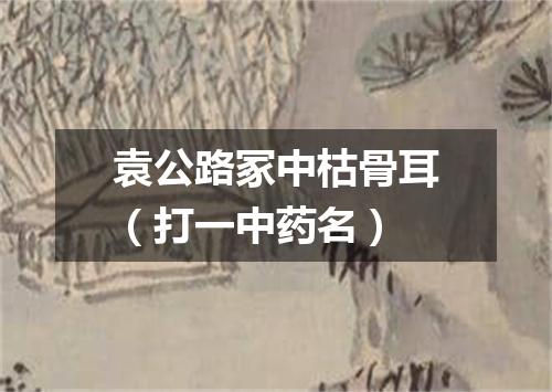 袁公路冢中枯骨耳（打一中药名）
