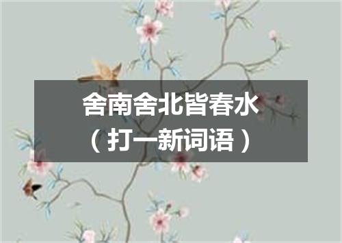 舍南舍北皆春水（打一新词语）