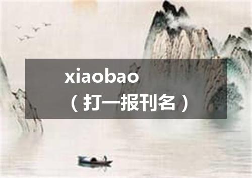 xiaobao（打一报刊名）
