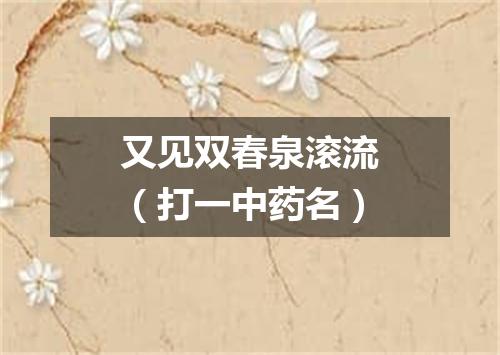 又见双春泉滚流（打一中药名）