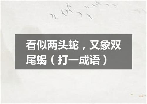 看似两头蛇，又象双尾蝎（打一成语）